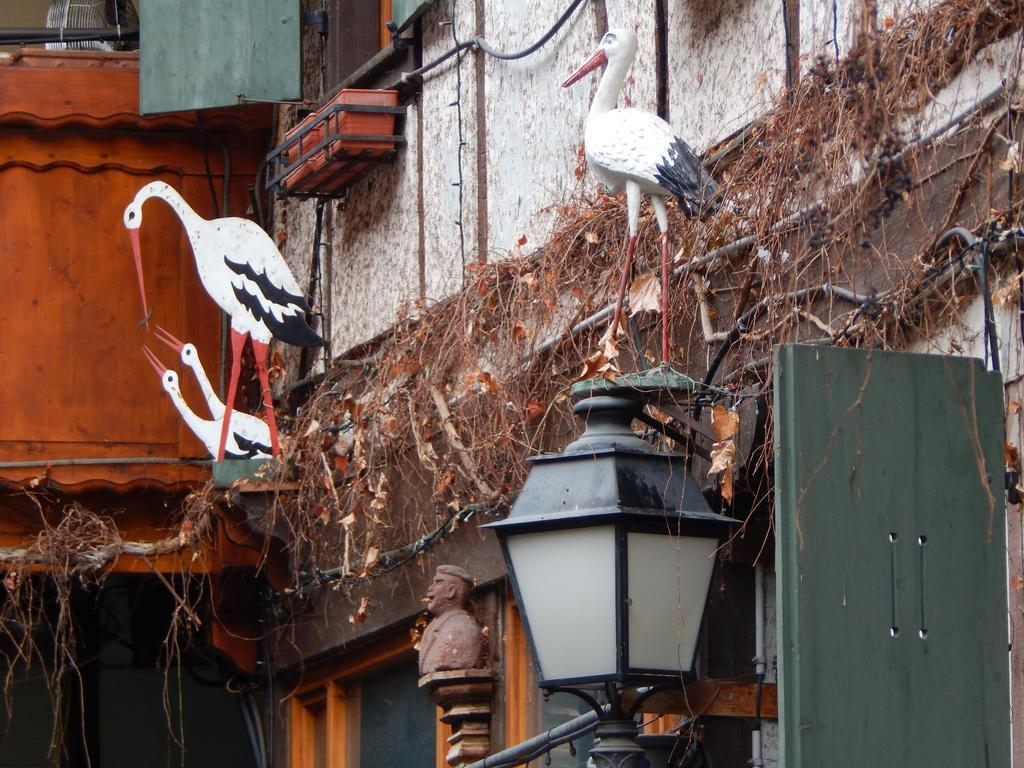 Au Coup De Coeur Apartment Colmar Cameră foto